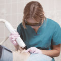 What are the two main contraindications with laser therapy?